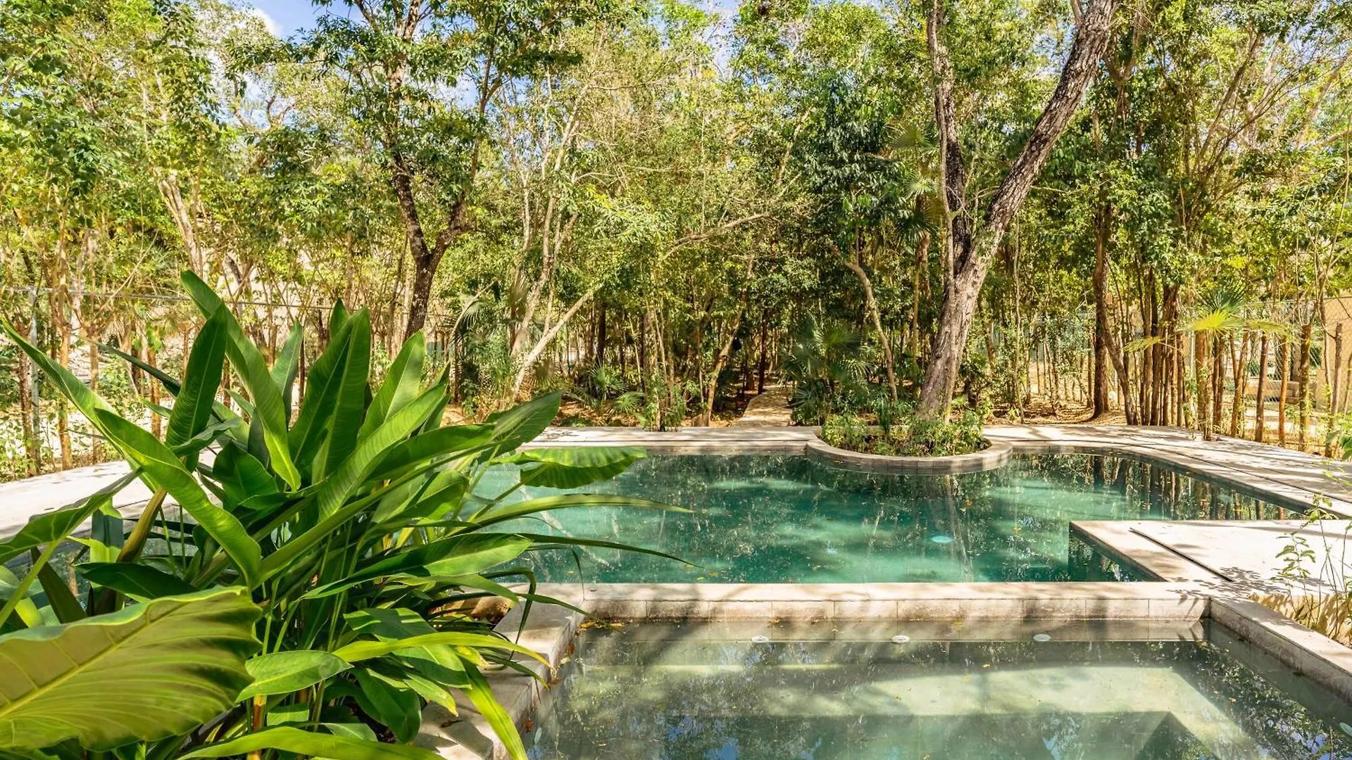 Jungle Serenity Tulum Mexico