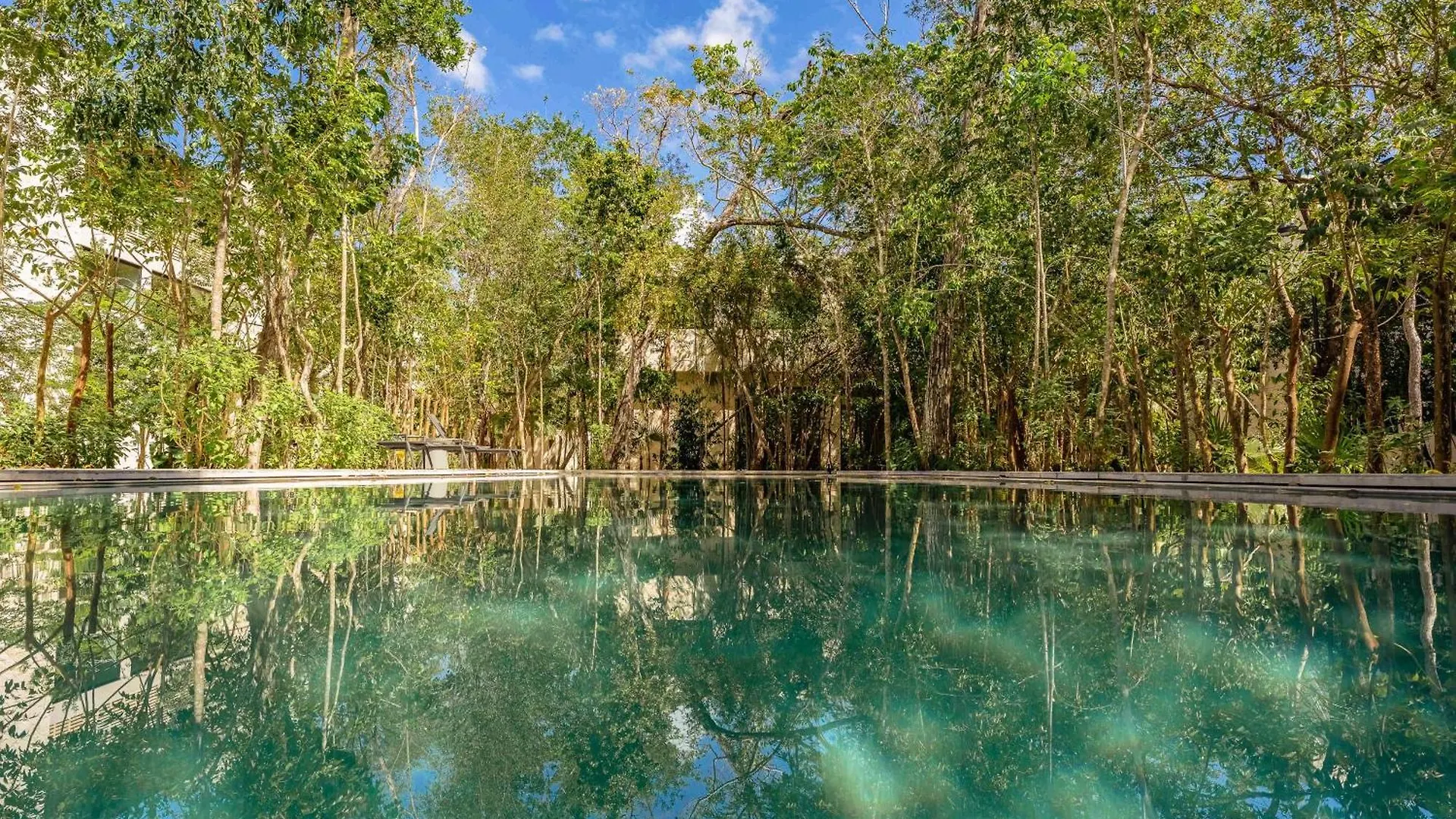 Jungle Serenity Tulum 0*,